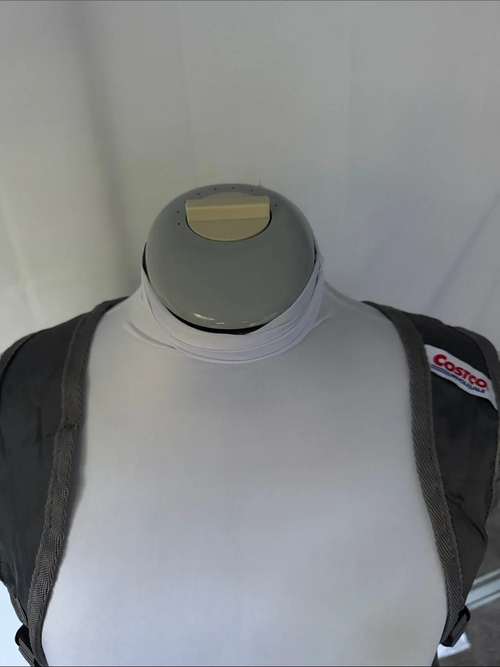 costco packable backback